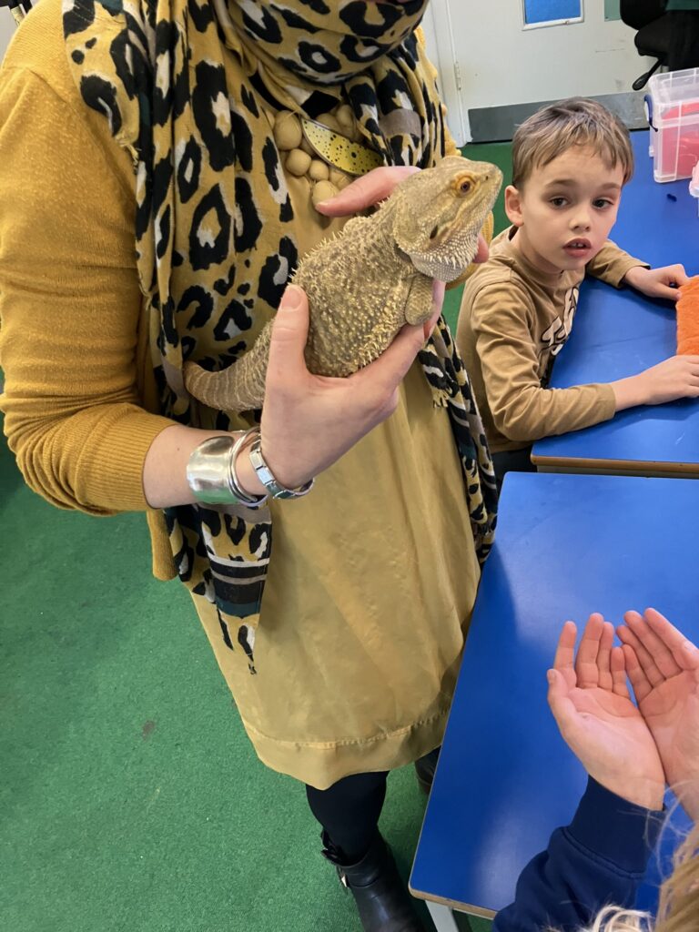 Bearded dragon visits pupils at Snowdon Village