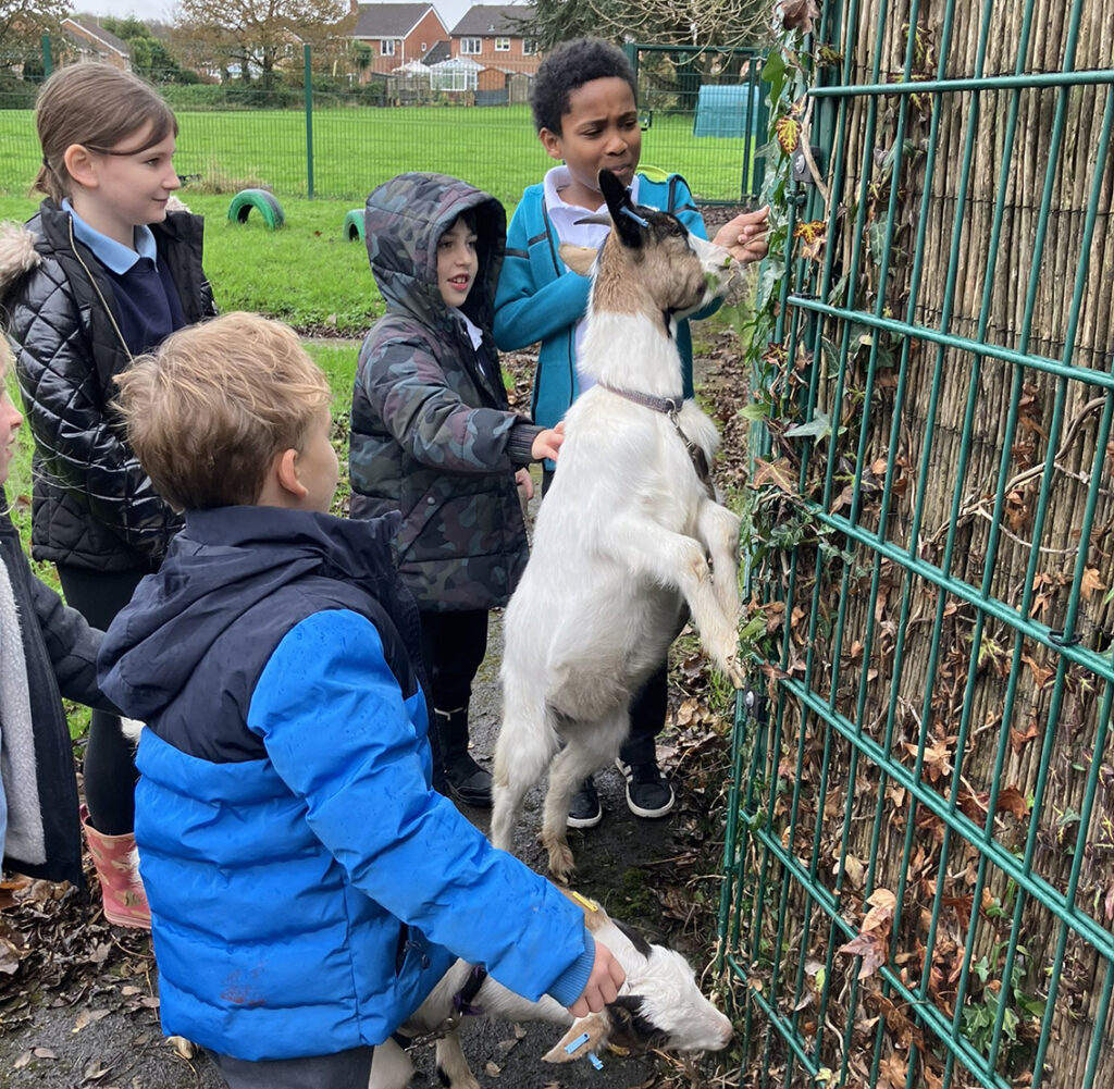 Goat visitor brings smiles to pupils at The Nest