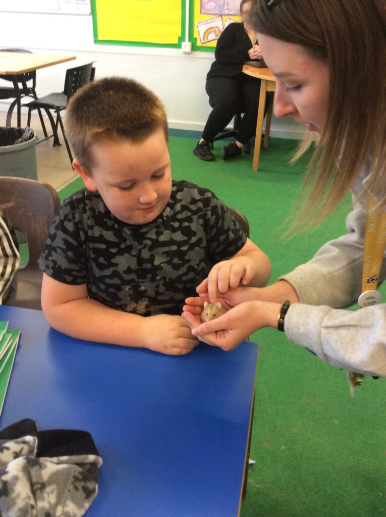 The Nest welcomes two new pets