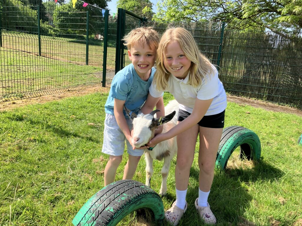 Goats come to The Nest at Snowdon Village!