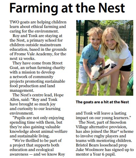 We are in the Fishponds Voice!